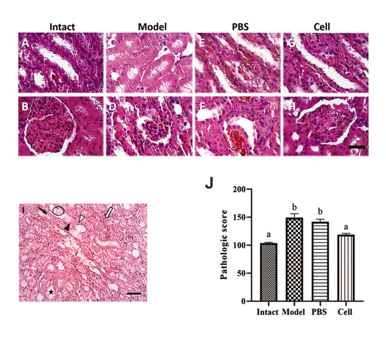 Fig.3