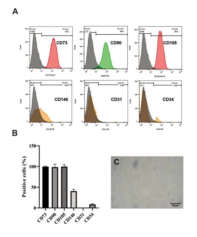 Fig.1