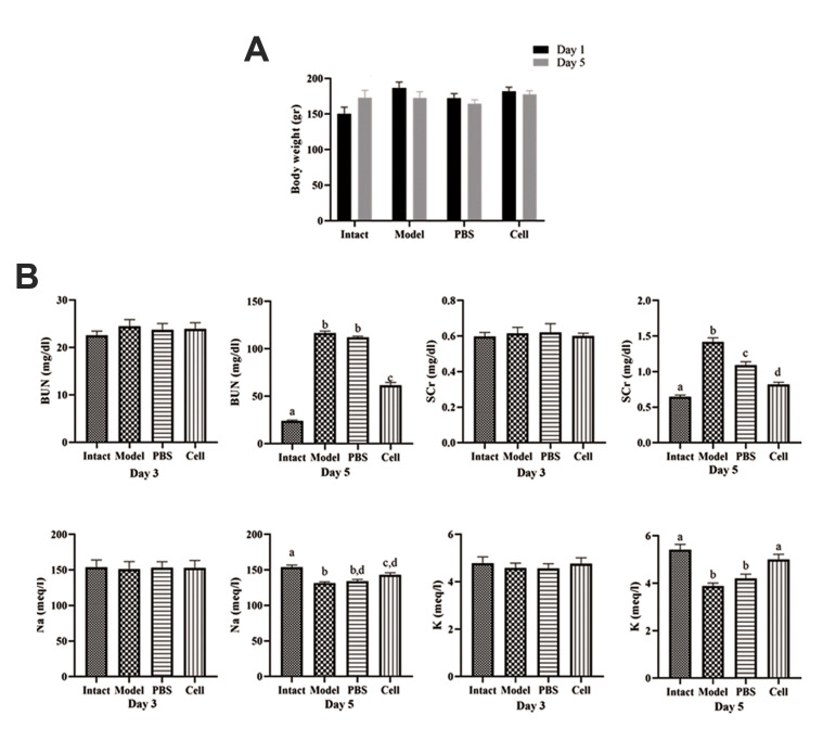 Fig.2