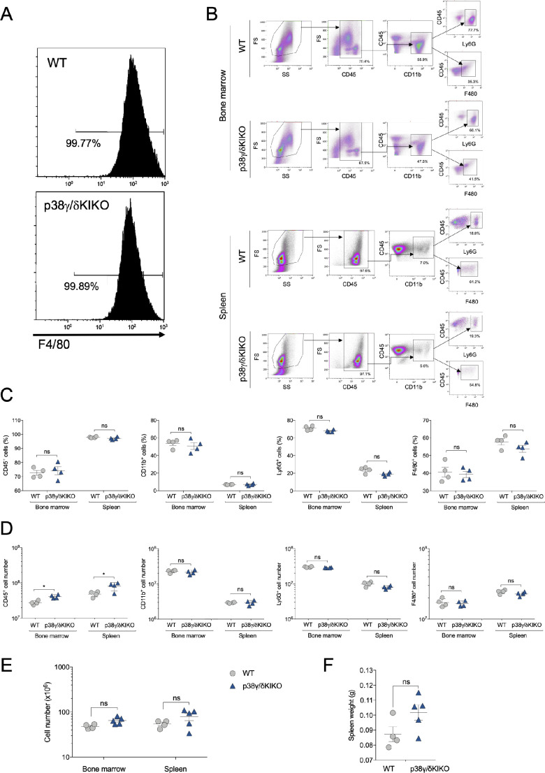 Figure 2—figure supplement 1.