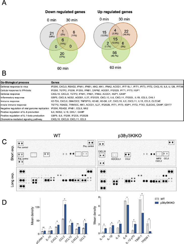 Figure 3—figure supplement 1.