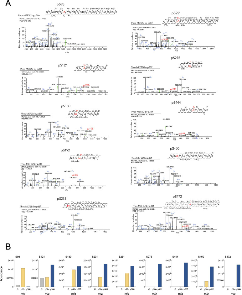 Figure 4—figure supplement 2.