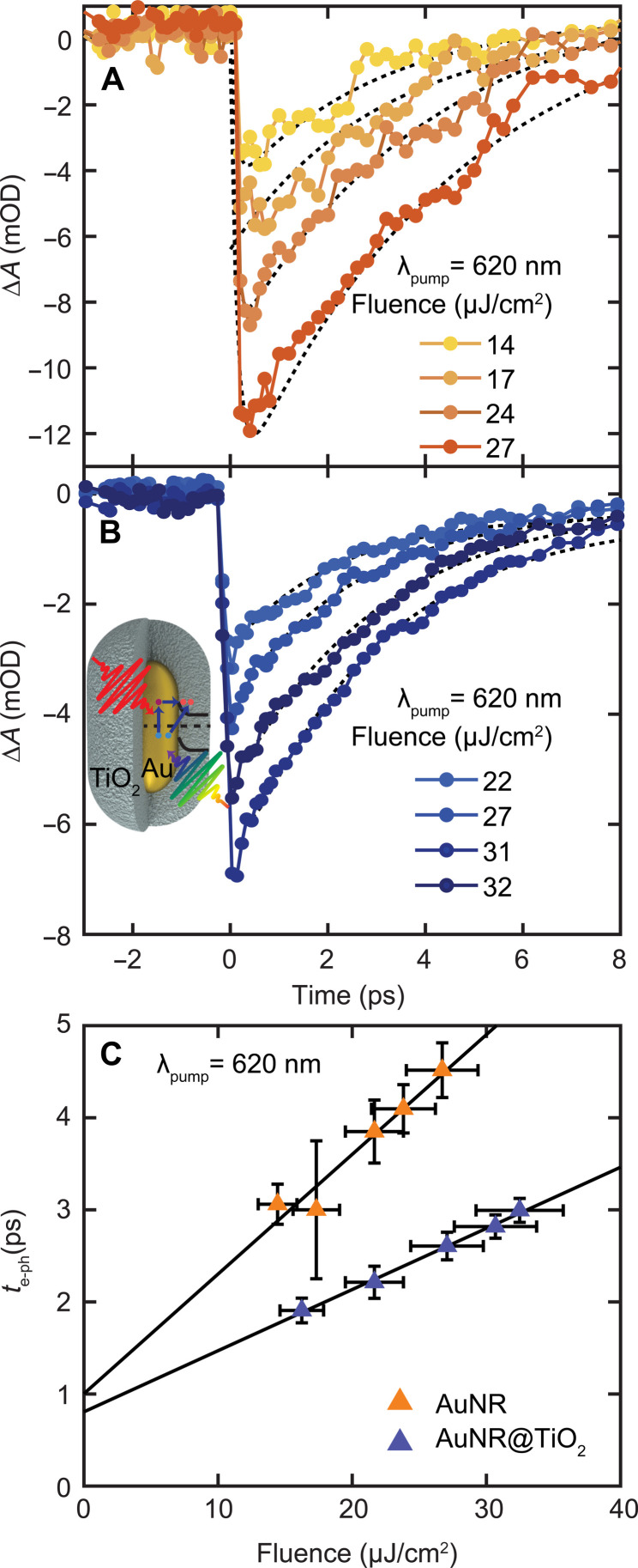 Fig. 4.