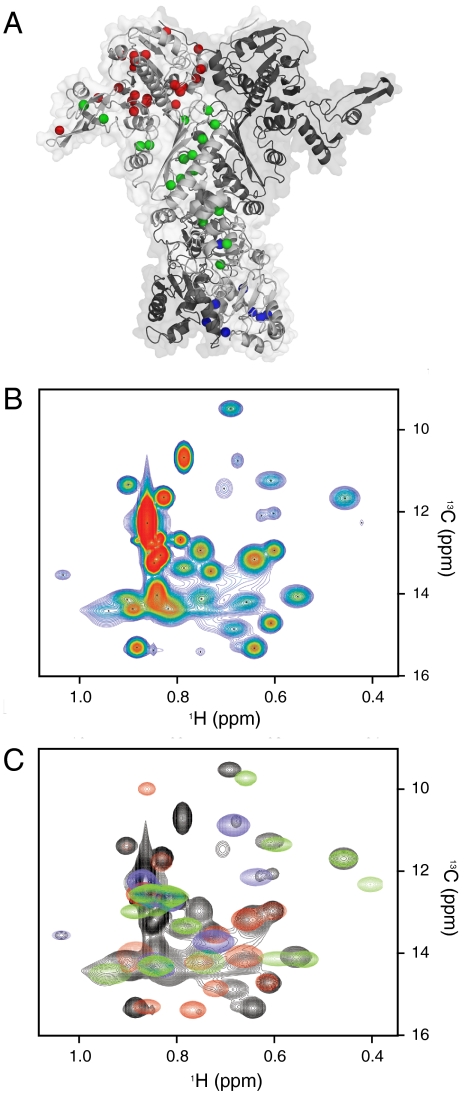 Fig. 1.