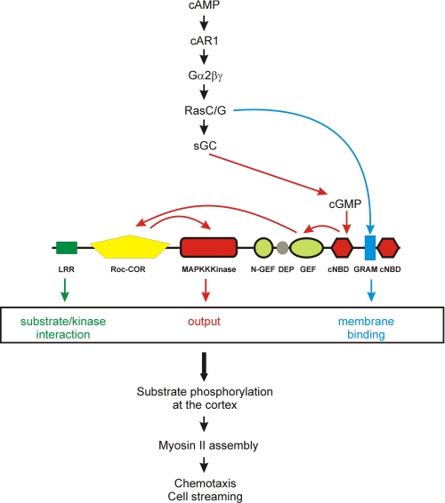 FIGURE 6.