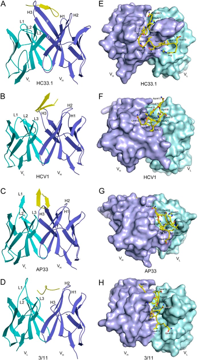 FIGURE 1.