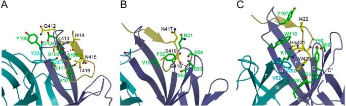 FIGURE 4.