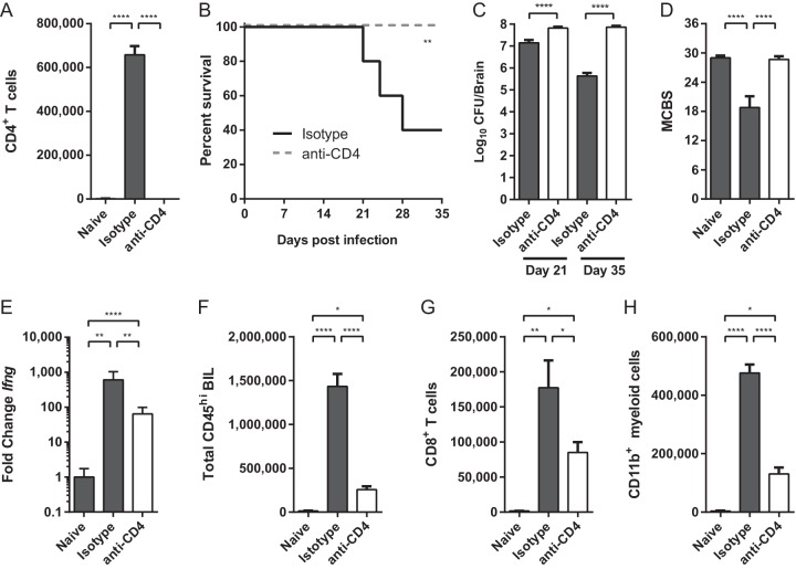 FIG 6 