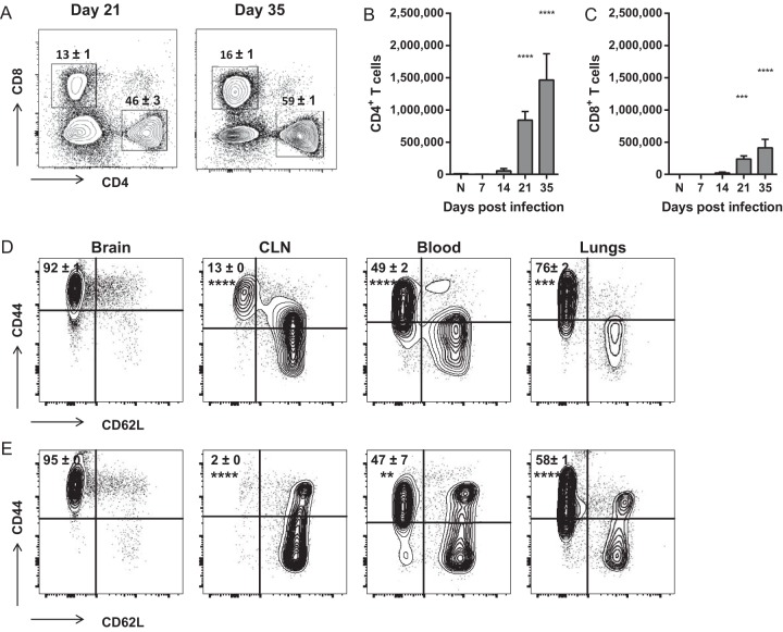 FIG 4 