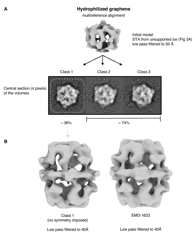 Figure 5—figure supplement 4.