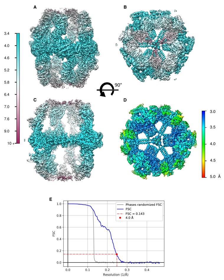 Figure 6—figure supplement 2.