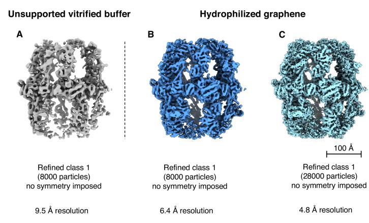 Figure 6—figure supplement 3.