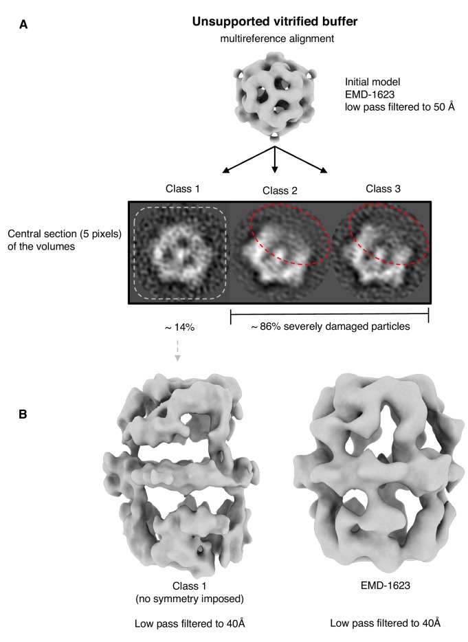 Figure 3—figure supplement 1.