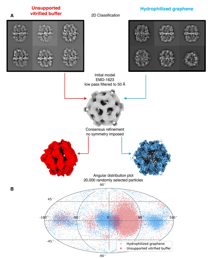 Figure 6—figure supplement 4.