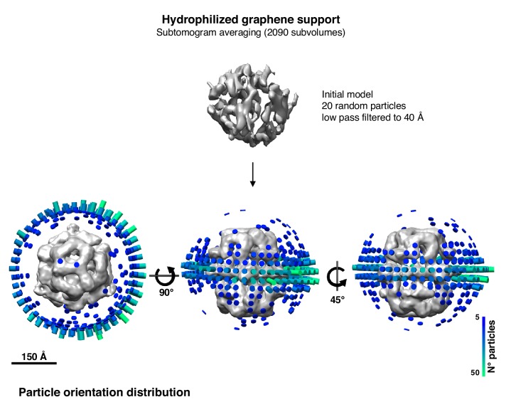 Figure 5—figure supplement 3.