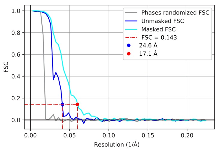 Figure 5—figure supplement 5.