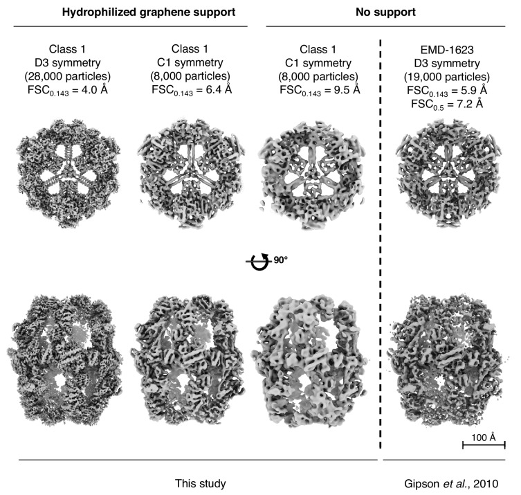 Figure 6—figure supplement 5.