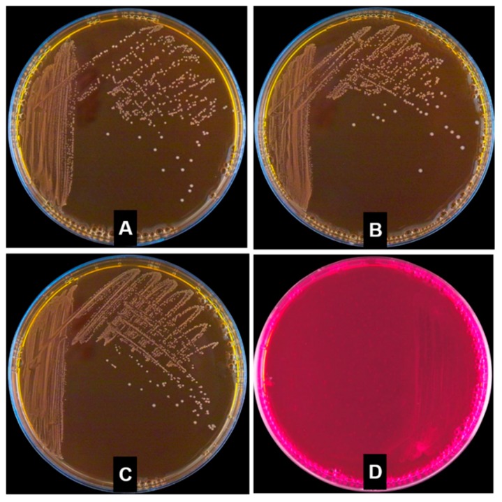 Figure 5