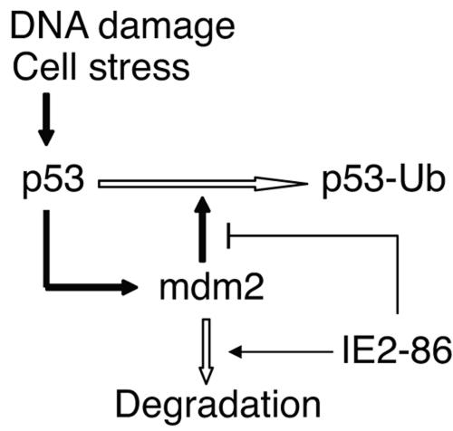 FIG. 11.