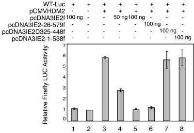 FIG. 5.