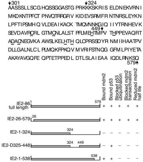 FIG. 10.