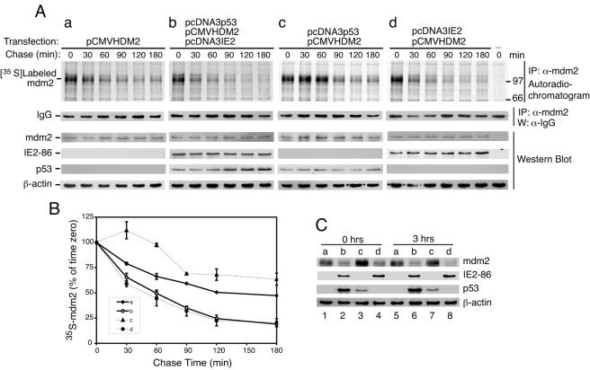 FIG. 7.