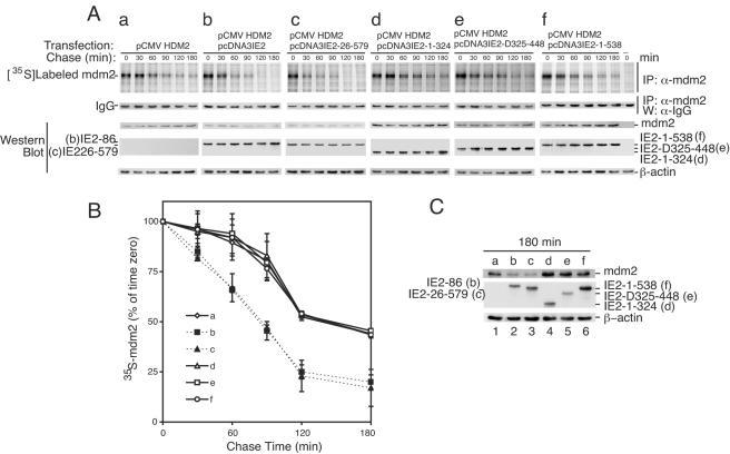 FIG. 8.