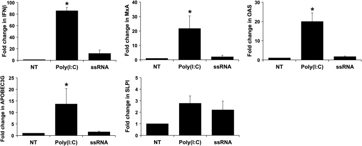 Figure 4