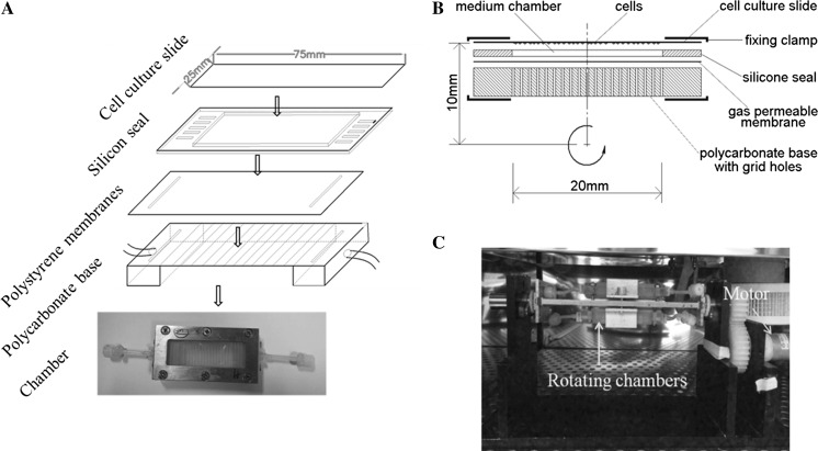 Fig. 1