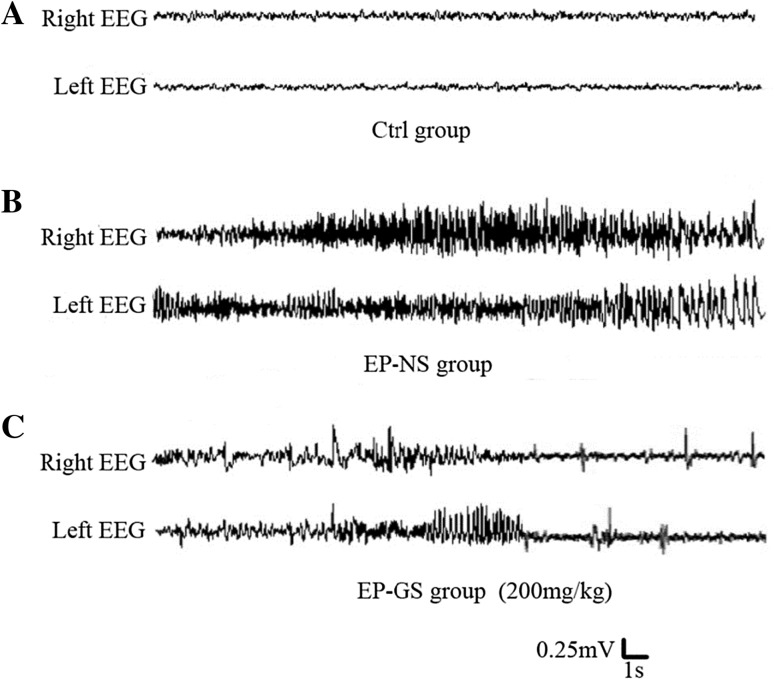 Fig. 2