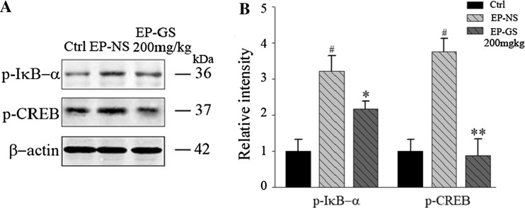 Fig. 6