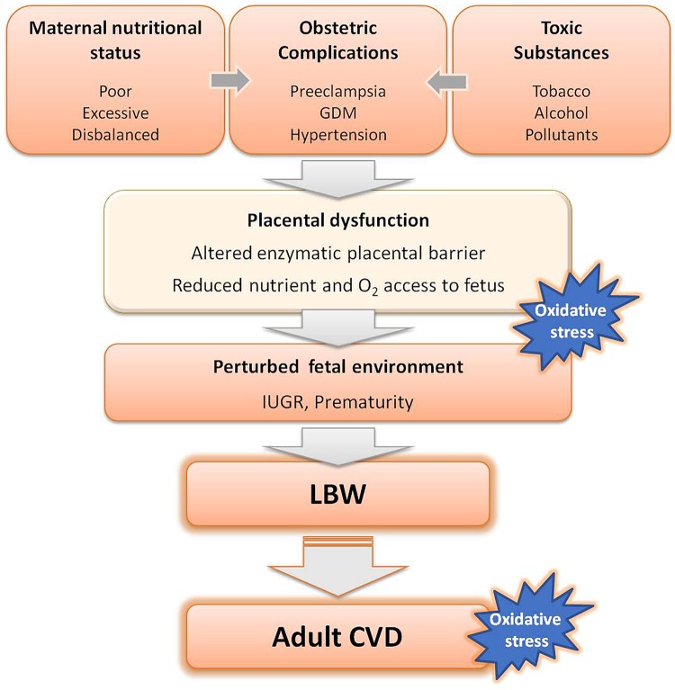 FIGURE 1