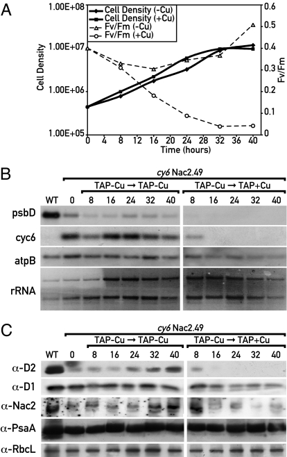 Fig. 2.