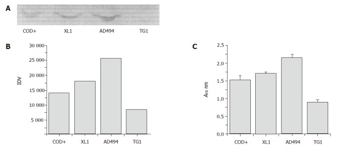 Figure 6