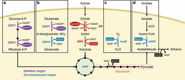 Fig. 2