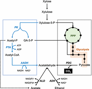 Fig. 4