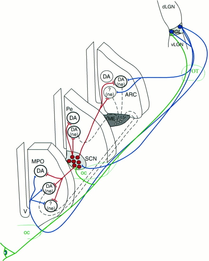 Fig. 9.