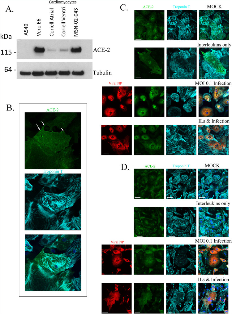 FIG 3