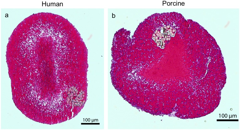 Fig 4