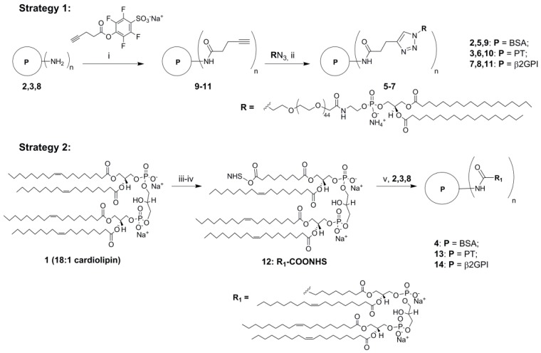 Scheme 1