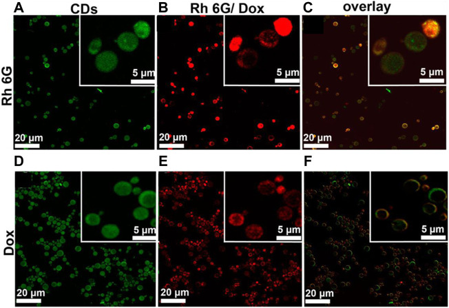 FIGURE 12