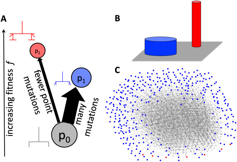 Fig 7