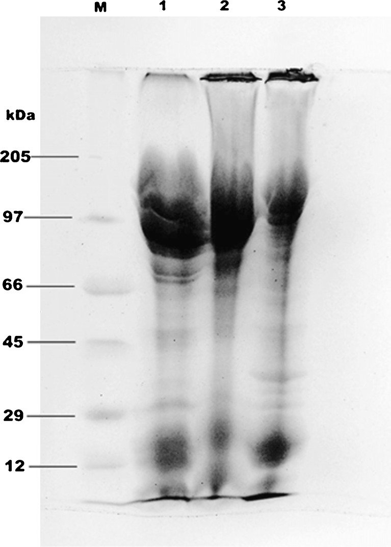 Fig. 5