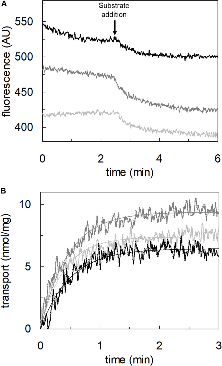 FIGURE 9