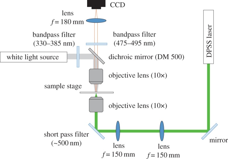 Figure 3.