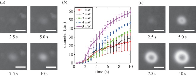 Figure 4.