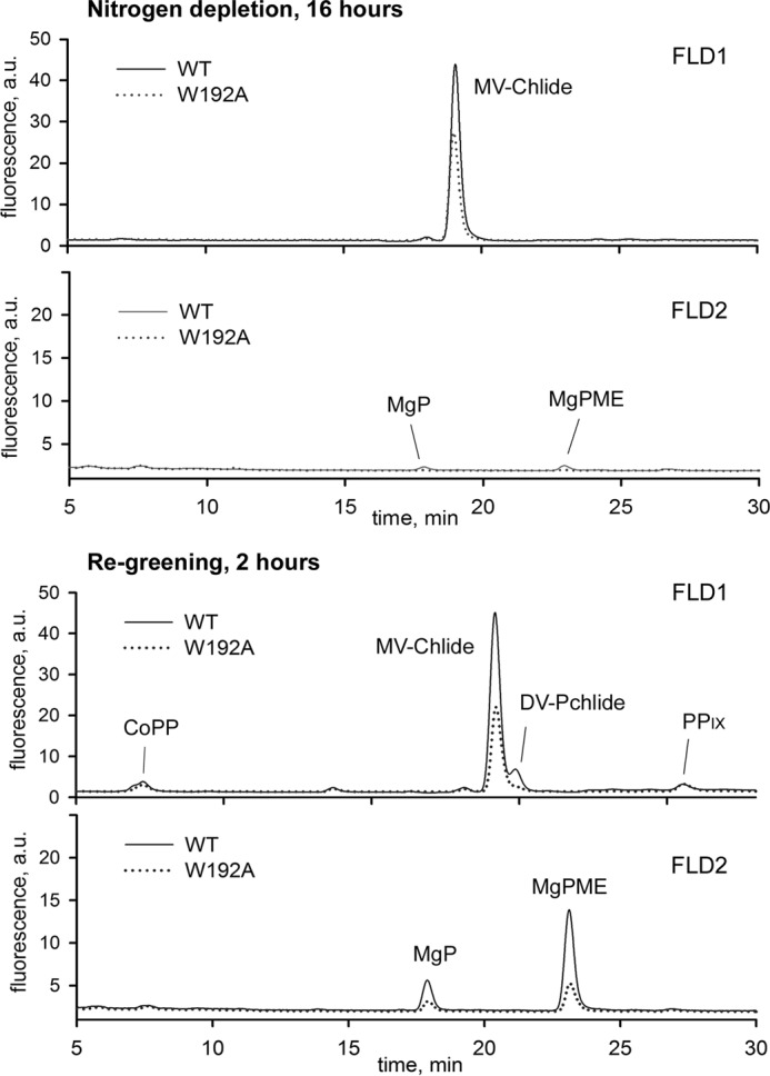 FIGURE 10.