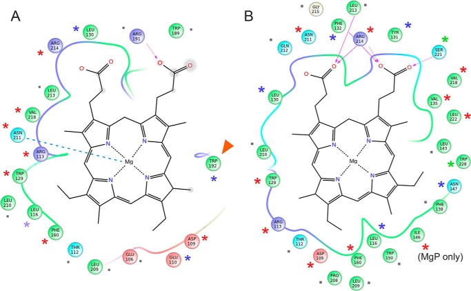 FIGURE 3.