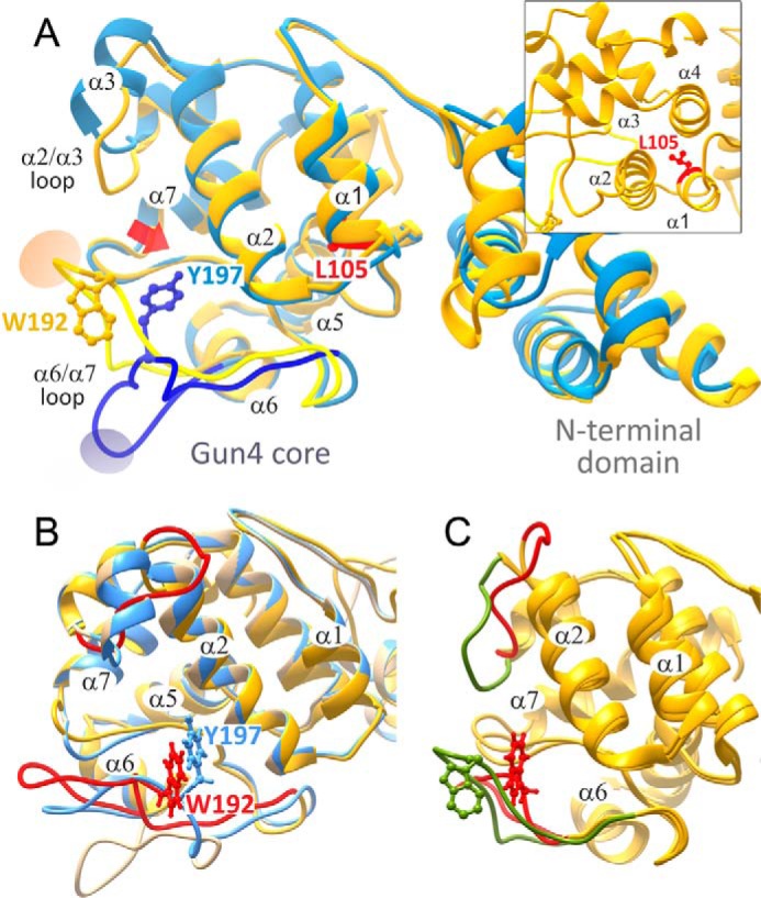 FIGURE 1.