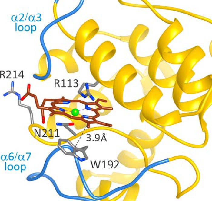 FIGURE 6.